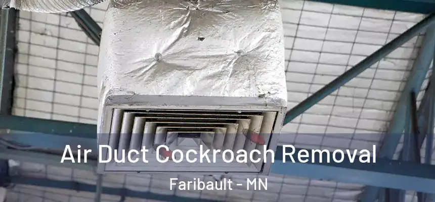  Air Duct Cockroach Removal Faribault - MN