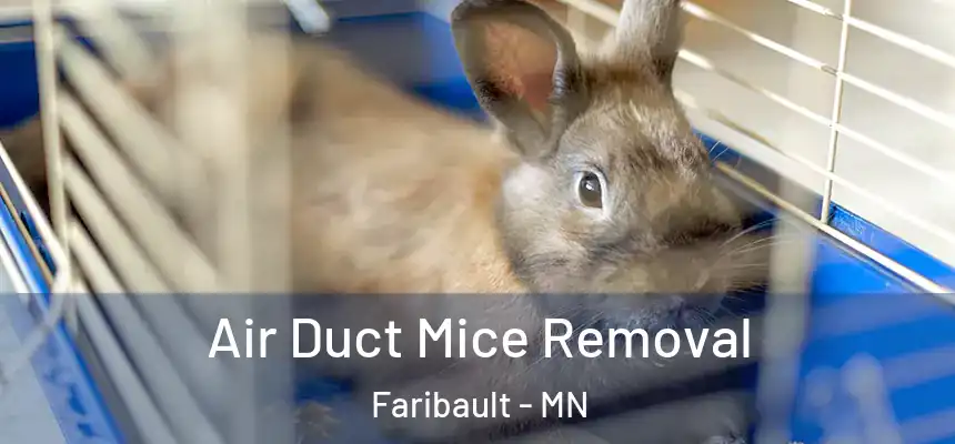  Air Duct Mice Removal Faribault - MN