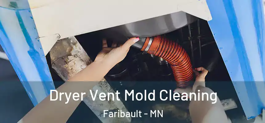 Dryer Vent Mold Cleaning Faribault - MN