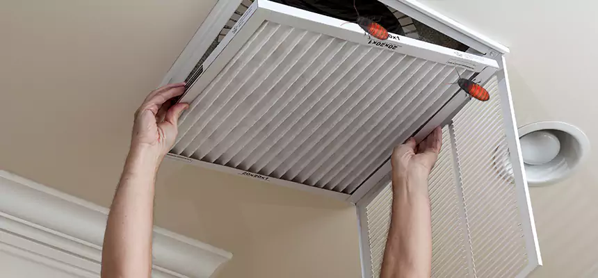 Preventive Cockroach-Proofing for Ducts in Faribault