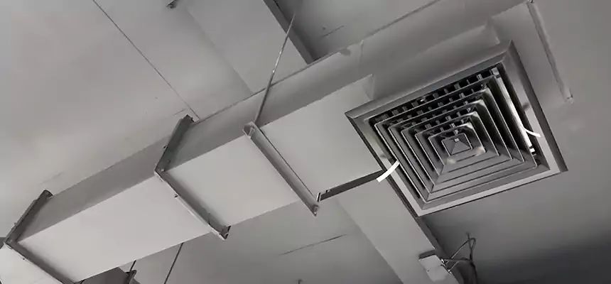 Our Rodent Droppings In Vents Services in Faribault, MN