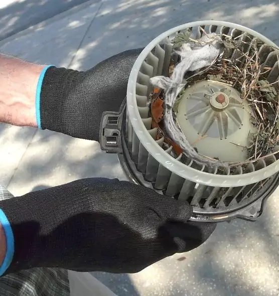 About Air Duct Mice Removal in Faribault, MN