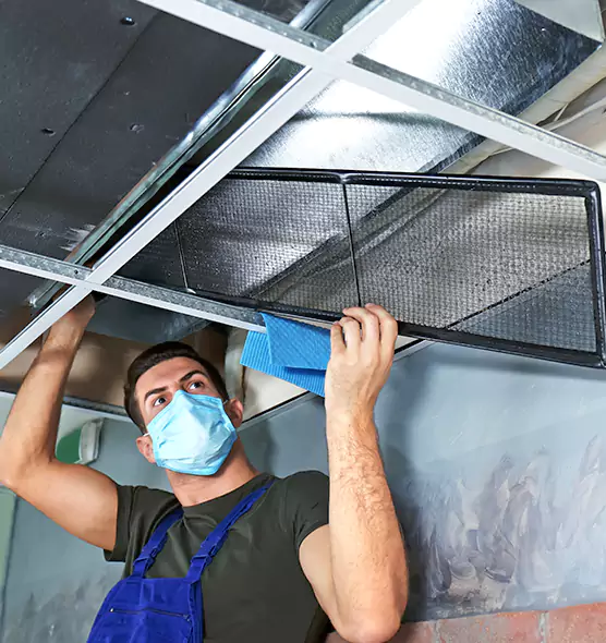Professional Air Duct Pollen Cleaning in Faribault, MN