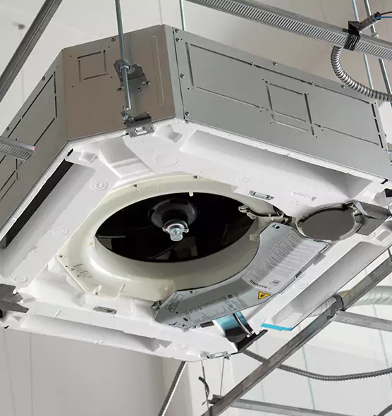 Professional Roof Vent Lint Removal Faribault, MN