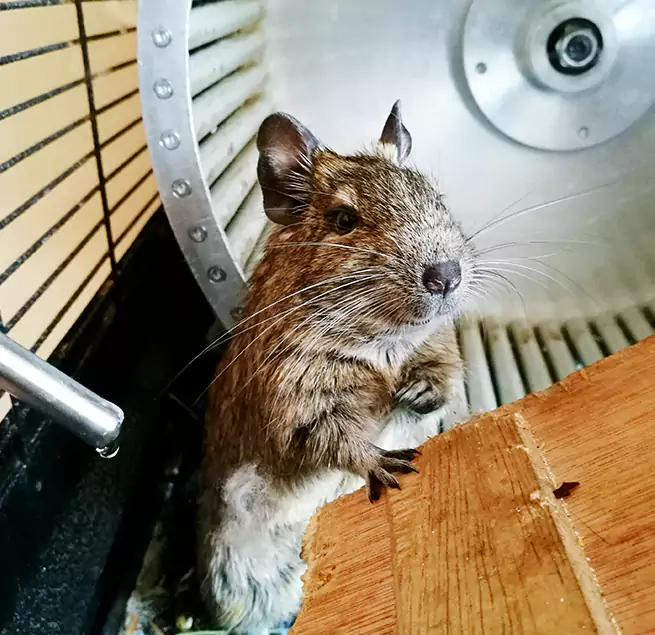 Why Homeowners & Businesses Trust Us Faribault, MN